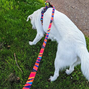 Laisse pour chien 180cm Panache 4