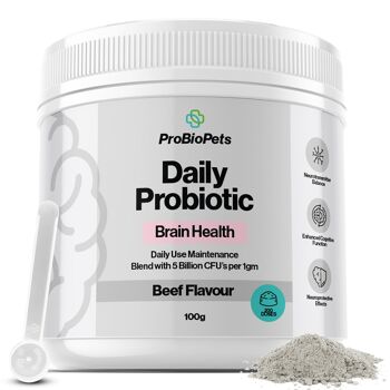 Probiotique pour la santé cérébrale pour animaux de compagnie 10