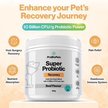 Probiotique de récupération pour animaux de compagnie 4