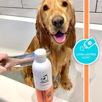 Shampoing et revitalisant pour chien 2 en 1 4