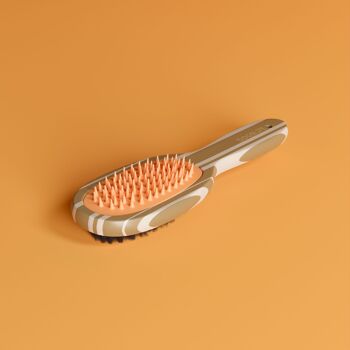 Brosse pour chien en bambou 5