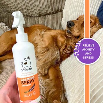 Spray apaisant pour chiens 5