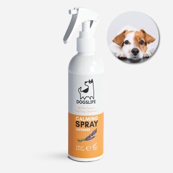 Spray apaisant pour chiens 9