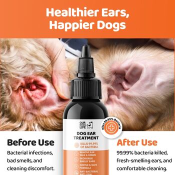 Gouttes de traitement pour les infections de l'oreille du chien 4