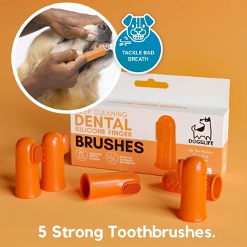 Brosse à dents pour chien 2