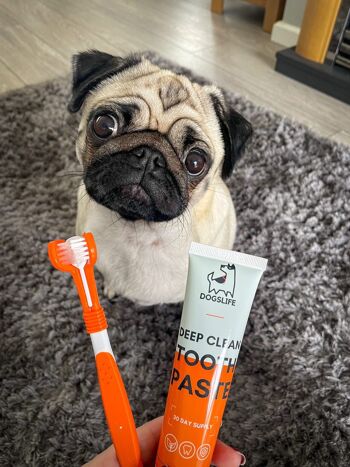 Ensemble dentifrice et brosse à dents pour chien 2