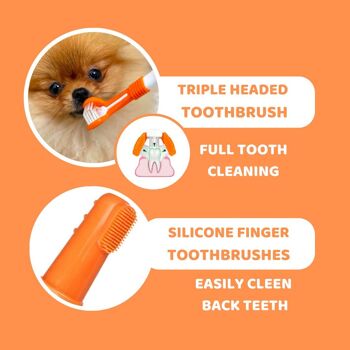 Ensemble dentifrice et brosse à dents pour chien 4