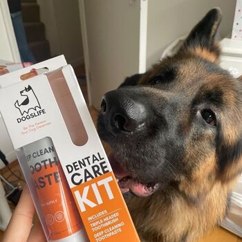 Ensemble dentifrice et brosse à dents pour chien 9