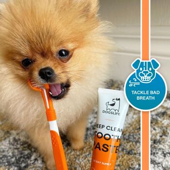 Ensemble dentifrice et brosse à dents pour chien 10