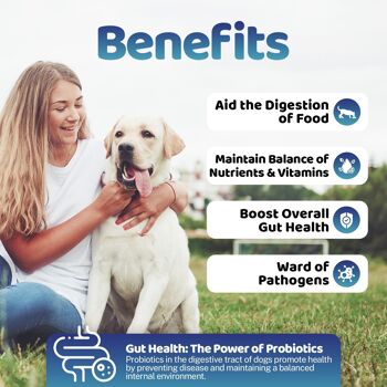 Supplément en poudre pour la santé intestinale pour chiens 3