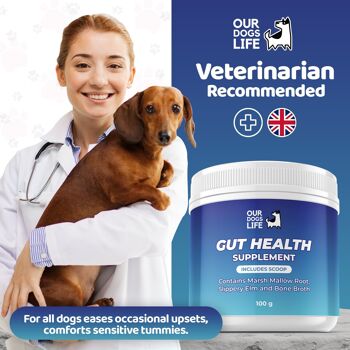 Supplément en poudre pour la santé intestinale pour chiens 5