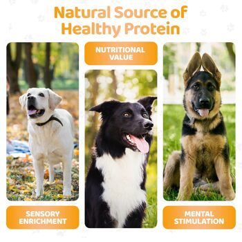 Beurre de cacahuète naturel pour chiens | Sans danger pour les chiens 6