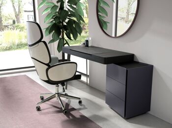 Coiffeuse en bois gris et acier noir avec plateau en wengé et miroir 7136 4