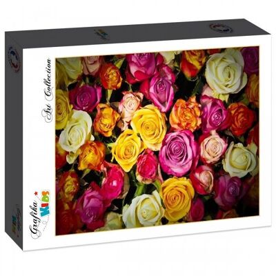 Puzzle de 1000 piezas - Rosas