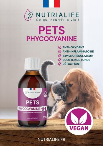 Phycocyanine Pets 250ml Chiens et chats 2