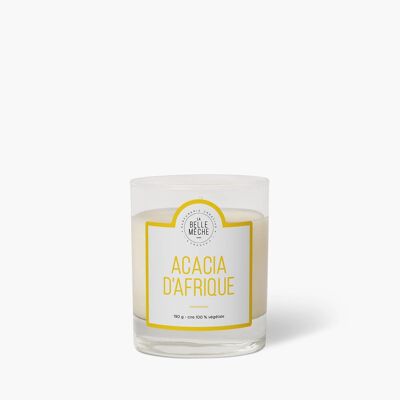 African Acacia Scented Candle