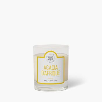 Bougie Parfumée Acacia d'Afrique 1