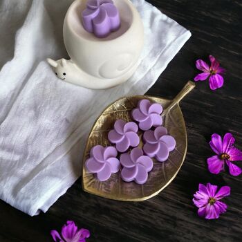 Violette des Bois