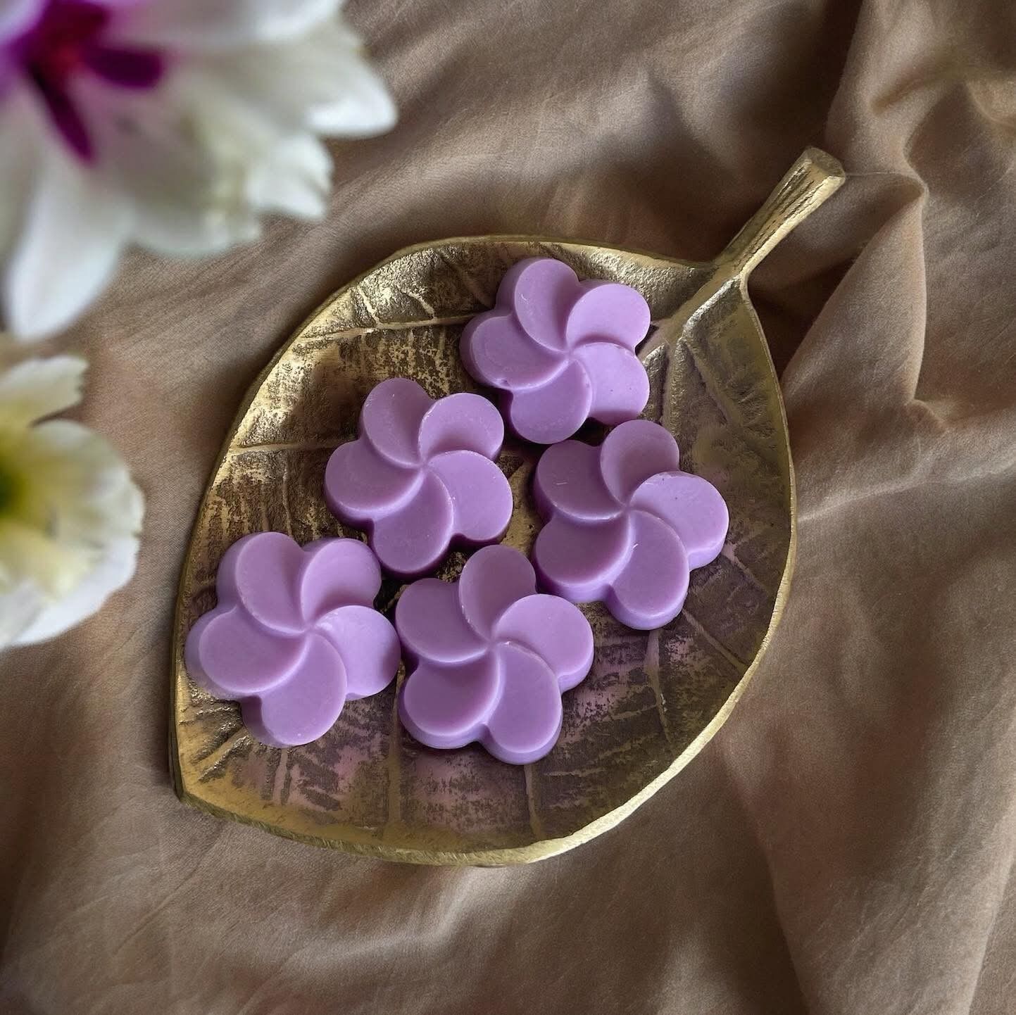 Wild Violet - Cera profumata di colza da sciogliere - 16 g