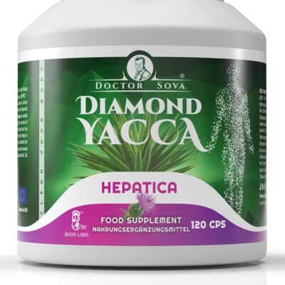 Diamond Yacca Hepatica (Avec Chardon Marie)