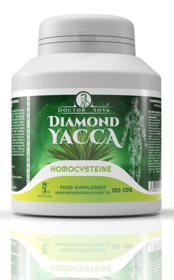 Diamant Yacca Homocystéine 1