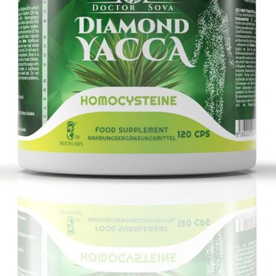Diamant Yacca Homocystéine