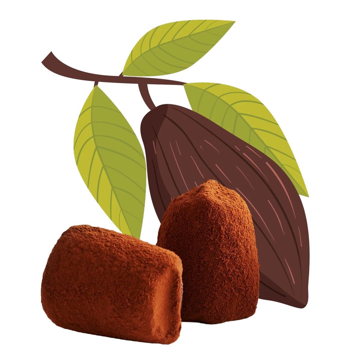 Cacao nibs chocolate truffles - bulk