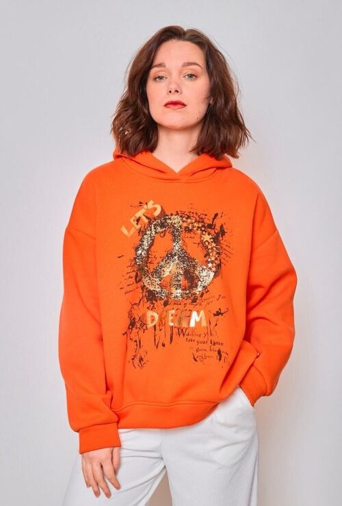 Sweatshirt à capuche - 6171