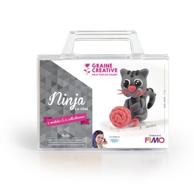 KIT FIGURINE FIMO NINJA IL GATTO