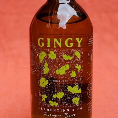 Gingy - Cerveza artesanal de jengibre