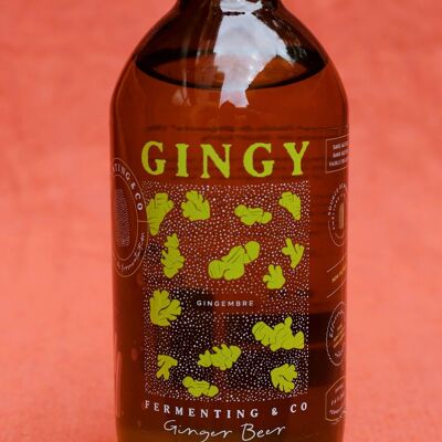 Gingy - Birra artigianale allo zenzero