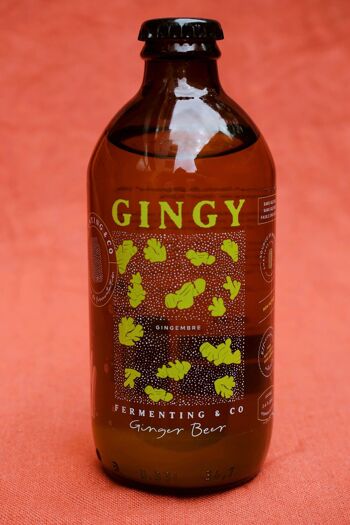 Gingy - Ginger Beer artisanale 1