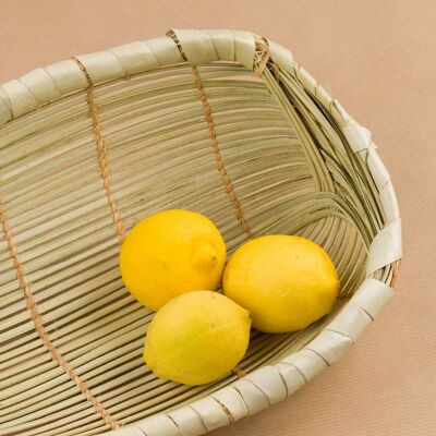 Cesta de palmera