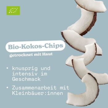 Chips de noix de coco bio 3