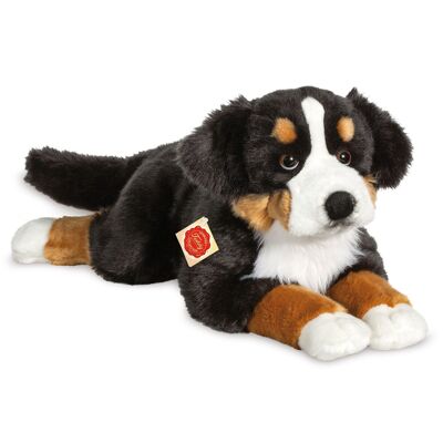 Bovaro del Bernese sdraiato 60 cm - peluche - animale di pezza