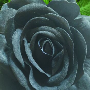 Peinture sur toile avec roses en tissu noir (velours) et Deospray 125 ml 6