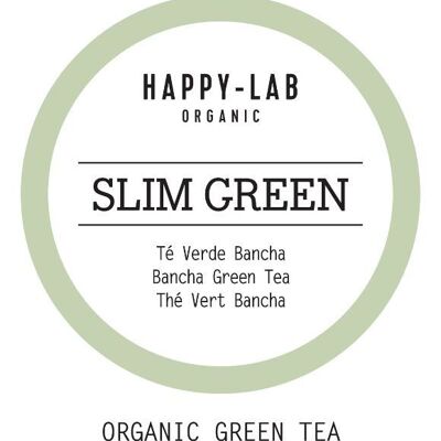 Happy-Lab SLIM GREEN té verde con especias y cítricos caja de 60 pirámides biodegradables en sobres individuales