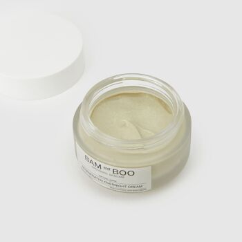 CRÈME DE NUIT RÉGÉNÉRATIVE 2