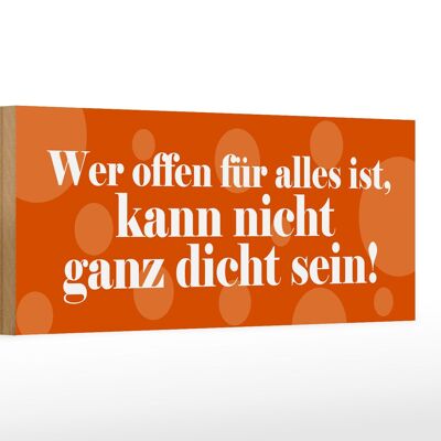 Holzschild Spruch 27x10cm Offen für alles nicht dicht