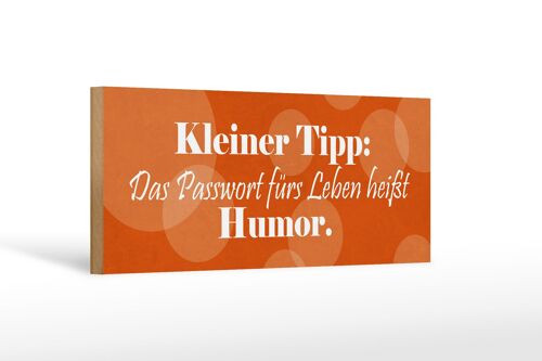 Holzschild Spruch 27x10cm Passwort für's Leben Humor