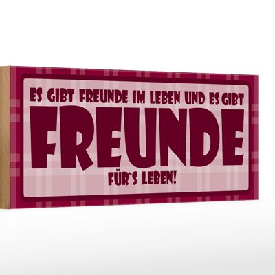 Holzschild Spruch 27x10cm Es gibt Freunde im Leben