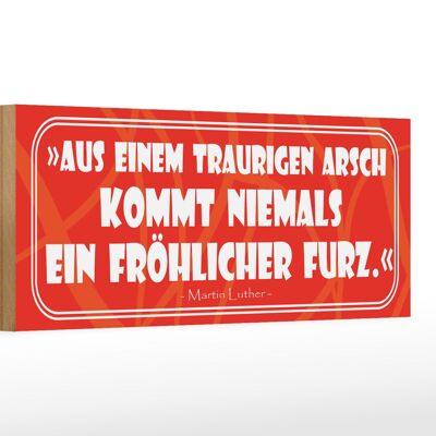 Holzschild Spruch 27x10cm Aus einem traurigen Arsch