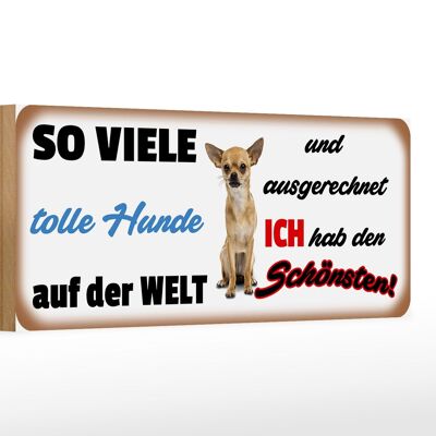 Holzschild Spruch 27x10cm Ich hab den schönsten (Hund)