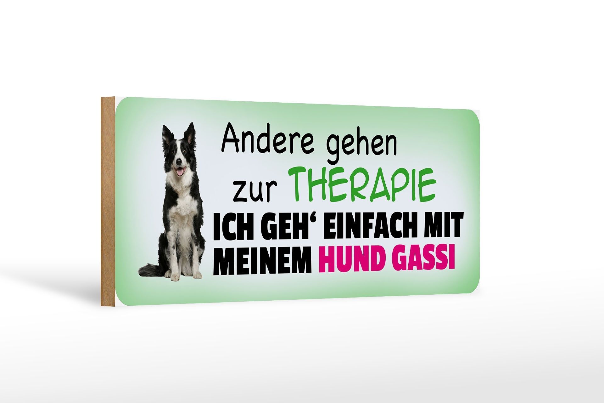 Holzschild Spruch 27x10cm Andere gehen zur Therapie ich geh Gassi