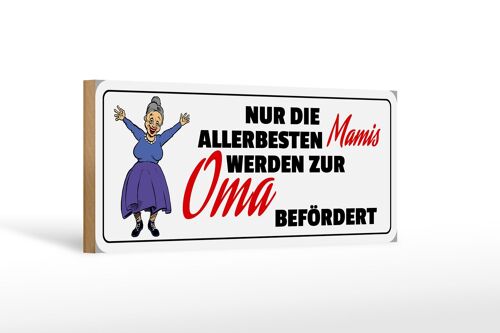 Holzschild Spruch 27x10cm zur Oma befördert