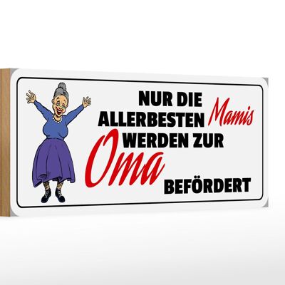 Holzschild Spruch 27x10cm zur Oma befördert