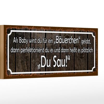 Holzschild Spruch 27x10cm als Baby für Bäuerchen gelobt