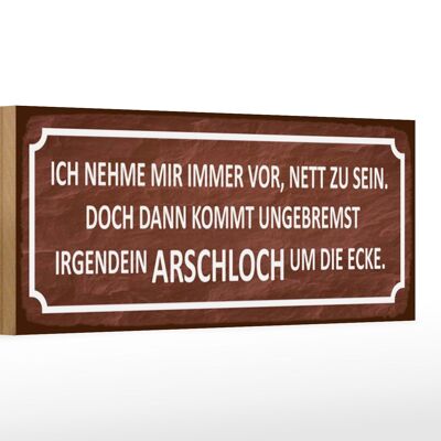 Holzschild Spruch 27x10cm ich immer nett doch Arschloch