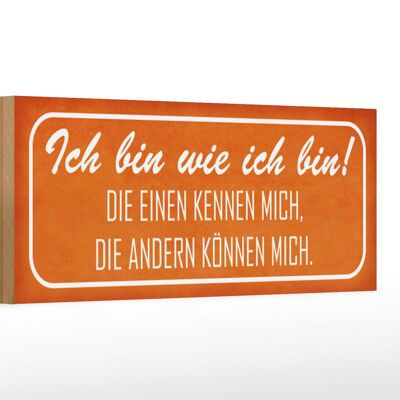 Holzschild Spruch 27x10cm ich bin wie ich bin die einen