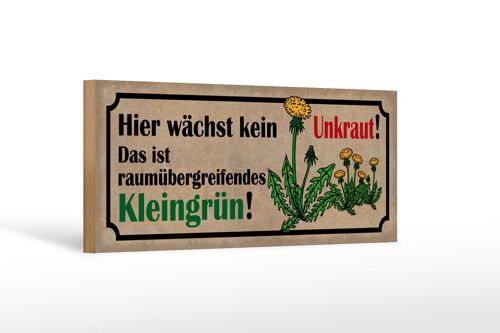 Holzschild Spruch 27x10cm wächst kein Unkraut Das ist Kleingrün